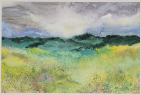 Cloudburst Over Wildflower Field